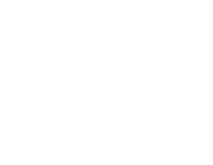 VelocityChain